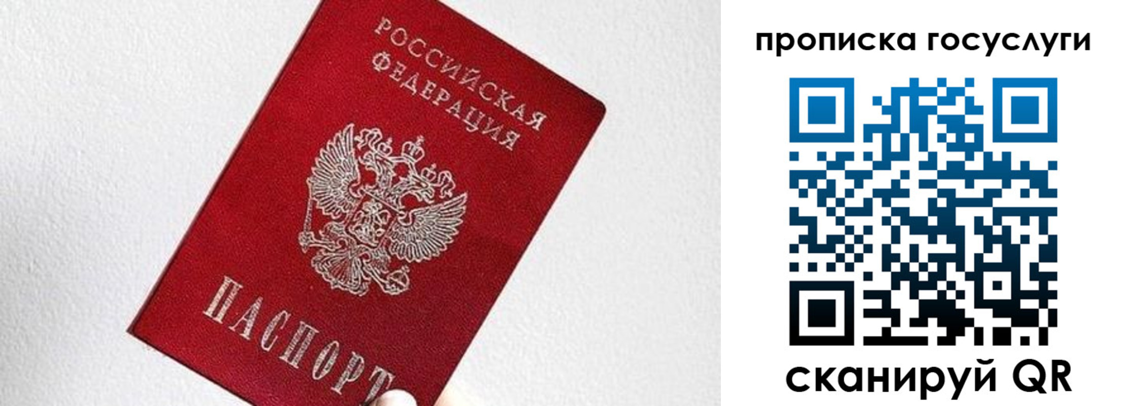 прописка законно в Талице